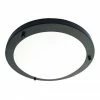 Revive Lighting Revive Satin Black Small LED Flush Bathroom Ceiling Light