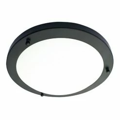 Revive Lighting Revive Satin Black Small LED Flush Bathroom Ceiling Light