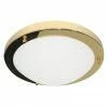 Revive Lighting Revive Brass Small LED Flush Bathroom Ceiling Light