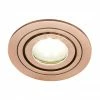 Revive Lighting Revive Brushed Copper Round Tiltable Downlight