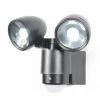 Revive Lighting Revive Outdoor Black Security Sensor Wall Light