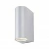 Revive Lighting Revive Silver Outdoor Up & Down Light