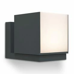 Revive Lighting Revive Outdoor Rotatable Dark Grey Wall Light