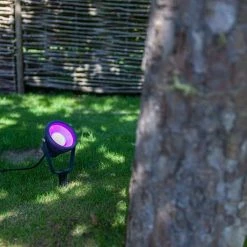 Revive Lighting Revive Smart Outdoor Mini Wall/Ground Spike Light -Revive Lighting Shop RV4243 D4 460