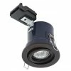 Revive Lighting Revive Matt Black Fire Rated Adjustable Downlight