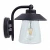 Revive Lighting Revive Outdoor Vintage Black Bronze Down Lantern