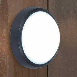 Revive Lighting Revive Outdoor Round Black LED Wall & Ceiling Light