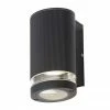 Revive Lighting Revive Outdoor Black Ridged Single Downlight