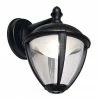 Revive Lighting Revive Outdoor Matt Black LED Down Lantern
