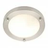 Revive Lighting Revive Satin Nickel 12W Small LED Flush Ceiling Light