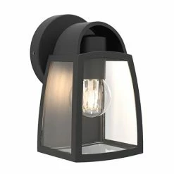 Revive Lighting Revive Outdoor Small Matt Black Wall Light With Clear Glass Diffuser
