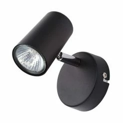 Revive Lighting Revive Black Single Spotlight