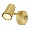 Revive Lighting Revive Satin Brass Single Spotlight