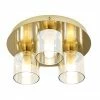 Revive Lighting Revive Satin Brass/Champagne Glass 3-Light Plate Ceiling Light